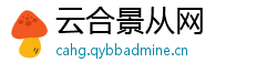 云合景从网